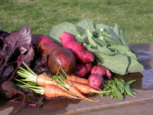 Harvest Joy